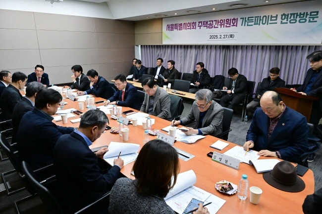 현장점검(사진=서울특별시 제공)