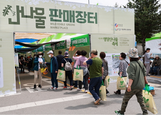 영양군 제공.