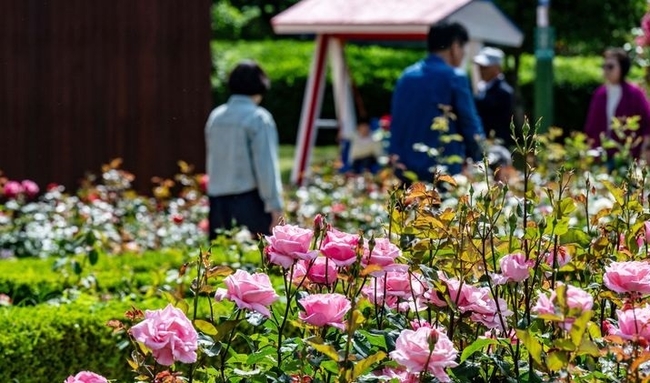 화창한 봄 날씨를 보인 지난 18일 오전 경남 창원시 성산구 장미공원에서 시민들이 봄 정취를 만끽하고 있다.(사진=뉴시스 제공)