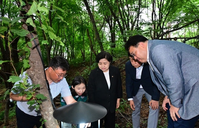 최호정 서울특별시의회 의장은 27일 은평구 백련산 등산로 입구에서 시범사업 중인 러브버그 친환경 포집 현장을 방문했다.(사진=서울시의회 제공)