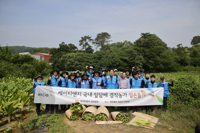 KT&G 임직원 잎담배 수확 봉사 진행 기념사진 (사진=KT&G 제공)