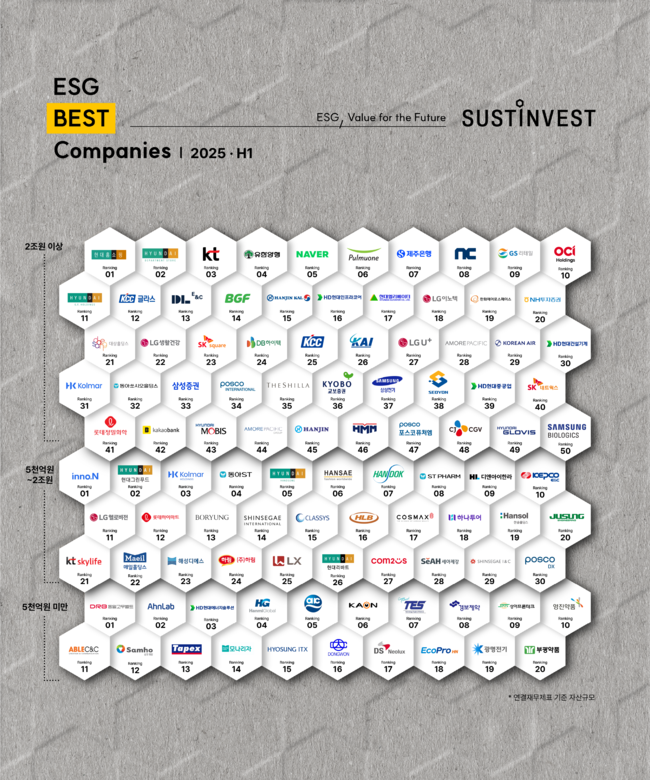 서스틴베스트 '2025년 상반기 ESG Best Companies'<strong>(사진=</strong>동아쏘시오홀딩스 제공)