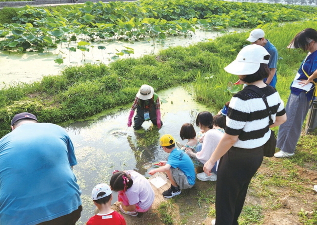 지난해 호조벌에서 열린 생태체험 현장. (사진=시흥시 제공)