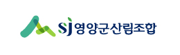 배너