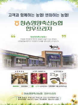 배너