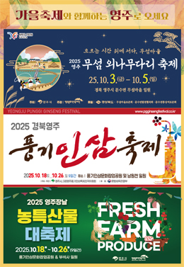 배너