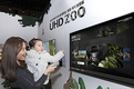 삼성전자, UHD ZOO 멸종위기동물전 TV앱 출시
