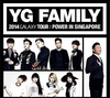 YG패밀리 콘서트, 싱가포르도 간다