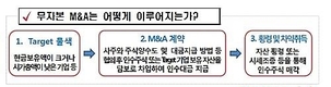 기업사냥꾼 무자본 M&A하면 주가 '반토막' 털썩 