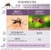 국내 ‘흰줄 숲모기’ 2010년부터 거점센터 통해 감시 