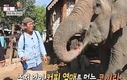 ‘먹거리원정대 그들처럼 먹어라’ 자체 시청률 갱신