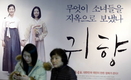 3·1절과 아카데미, 영화 귀향·동주·스포트라이트 수혜 
