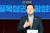 野, 이용섭에 융단폭격