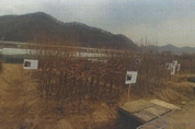 "이번 식목일엔 과일나무로 심어 보세요" [광주성남하남산림조합, 나무 나눠주기·전시판매]