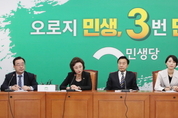 민생당, 내달 중 전당대회 열어 변화 모색