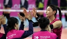 김연경 법적대응,악플러 성희롱·허위사실 뭐라 썼기에..