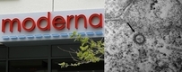 모더나 