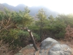 【오병욱 산 이야기】 산에서 배우는 인생 ⑫ - 관악산