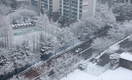 서울 등 대설특보 발효…중부지방 늦은 오후까지 눈