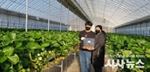 울진군, 청년 농업인 스마트 딸기CEO 육성 '팔 걷었다'