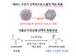 POSTECH 윤용주 교수팀, ‘거울상 이성질체’ 하나만 선택한다