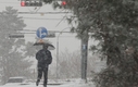 대설특보 지역 어디? 눈에 교통마비..1·4호선 고장 '설상가상'[종합]
