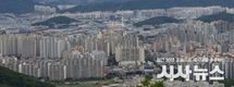 대구지역 아파트 분양 물량 상승 추세