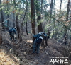 포항시, 소나무재선충병 방제사업 본격 시작...3월까지 피해고사목 완전 제거 목표