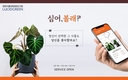 루시드그린, 반려식물 큐레이션 서비스 심어볼래 오픈...