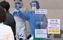 [속보]코로나19 신규확진자 현황 446명,도드람 집단감염 등 늘어…누적 9만3263명