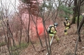 서울 우면산 새벽 불, 900㎡ 소실…3시간만에 진화
