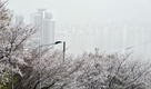출근길날씨, 미세먼지 농도 대부분 나쁨·일교차로 쌀쌀…화요일, 낮14~22도·구름많다가 맑음(오늘날씨)