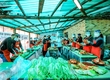 2021 '양평농촌체험마을 김장하는 날’ 사전시연회 개최