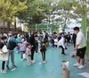 구미시, '동네방네 깜짝 놀이터' 성황리에 개최