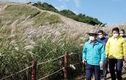 창녕군, 억새 장관 화왕산에서 가을을 만끽해요