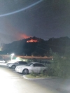 밤사이 포항서 산불 발생...0.06㏊ 불 타