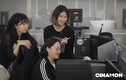 시나몬, 신입ㆍ경력 사원 채용