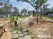 거창군, 가뭄대비 공원 및 녹지공간 긴급관수 시행