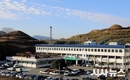 함안군, 악양둑방 경관조성단지, 전국 최고 꽃 관광지로 자리매김