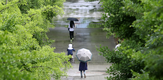 [내일날씨] 일부 지역 소나기...비 오는 지역 모레까지