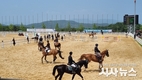 상주시, 승마 중심지로 입지 다진다...전국승마대회 상주에서 개최