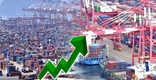'반도체·자동차·석유화학 등 수출 호조' 광주·전남 5월 수출 45.5% 증가