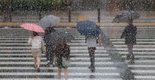 [내일날씨] 내일까지 수도권 최고 150㎜…주말 더위 후 다시 비