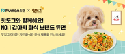 반려동물 포털 앱 핫도그, 굽네의 강아지 고양이 화식 브랜드 ‘듀먼’ 입점