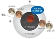 과천시, 4년 만의 개기월식 관측행사 오는 8일 개최