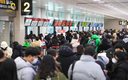 ‘폭설’에 항공기 288편 무더기 결항...429개교 등교 조정