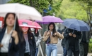내일 토요일 전국 대부분 지역 비 내려…대기질은 쾌청