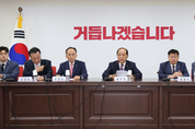 與, 당 대표 선출 ‘당심 80·민심 20’ 반영 결정