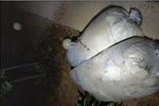 北, 25일 밤 오물풍선 250여 개 살포…"적재물 급강하시 위험"
