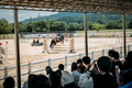 한국마사회, 2025년 제1회 은퇴경주마 품평회 및 승마대회 개최